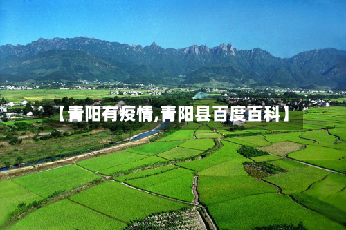 【青阳有疫情,青阳县百度百科】-第1张图片