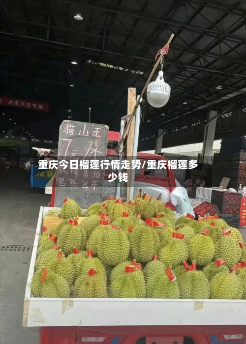 重庆今日榴莲行情走势/重庆榴莲多少钱-第3张图片