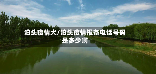 泊头疫情犬/泊头疫情报备电话号码是多少啊-第1张图片