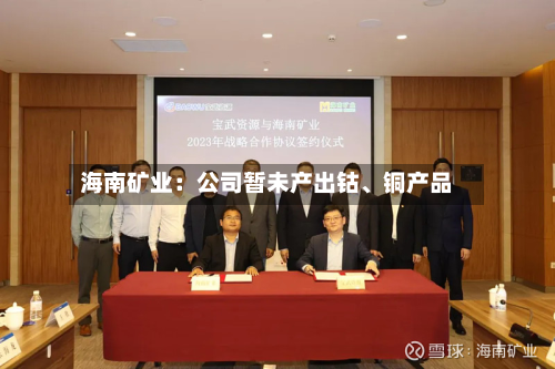 海南矿业：公司暂未产出钴	、铜产品-第1张图片