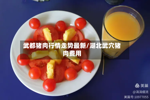 武都猪肉行情走势最新/湖北武穴猪肉费用-第2张图片