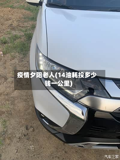 疫情夕阳老人(14油耗投多少钱一公里)-第3张图片
