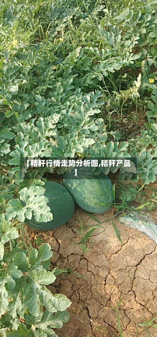 【秸秆行情走势分析图,秸秆产品】-第1张图片