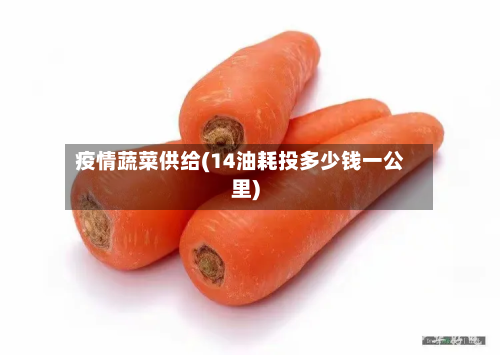疫情蔬菜供给(14油耗投多少钱一公里)-第1张图片