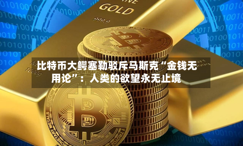 比特币大鳄塞勒驳斥马斯克“金钱无用论	”：人类的欲望永无止境-第3张图片