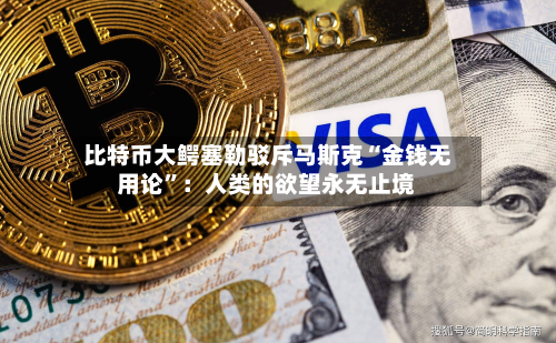 比特币大鳄塞勒驳斥马斯克“金钱无用论”：人类的欲望永无止境-第2张图片