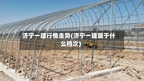 济宁一建行情走势(济宁一建属于什么档次)-第3张图片