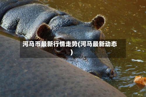 河马币最新行情走势(河马最新动态)-第1张图片