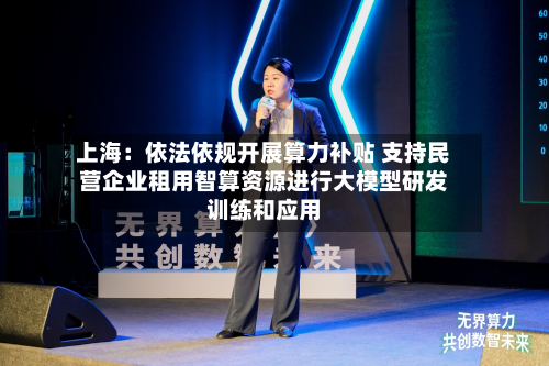 上海:依法依规开展算力补贴 支持民营企业租用智算资源进行大模型研发训练和应用-第1张图片