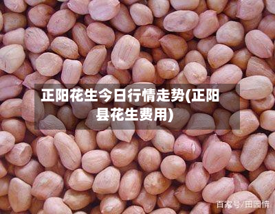 正阳花生今日行情走势(正阳县花生费用)-第1张图片