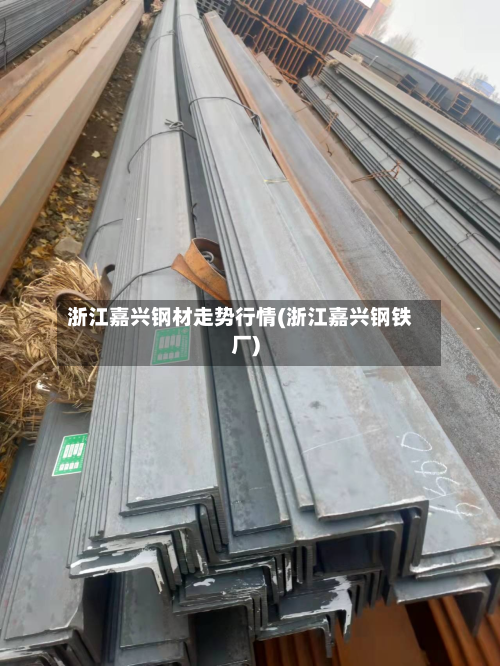 浙江嘉兴钢材走势行情(浙江嘉兴钢铁厂)-第2张图片