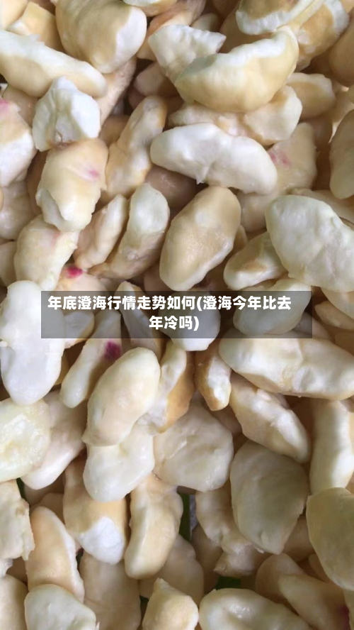 年底澄海行情走势如何(澄海今年比去年冷吗)-第3张图片