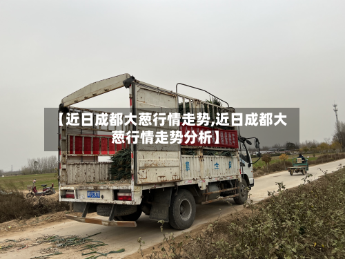 【近日成都大葱行情走势,近日成都大葱行情走势分析】-第3张图片