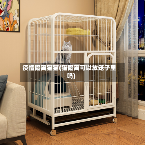 疫情隔离猫猫(猫隔离可以放笼子里吗)-第1张图片