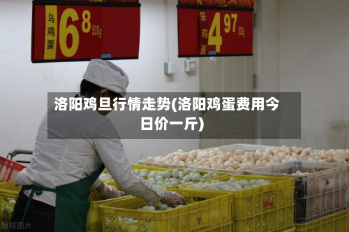 洛阳鸡旦行情走势(洛阳鸡蛋费用今日价一斤)-第1张图片