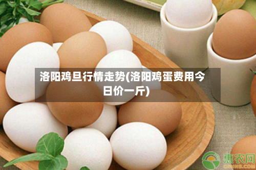 洛阳鸡旦行情走势(洛阳鸡蛋费用今日价一斤)-第2张图片