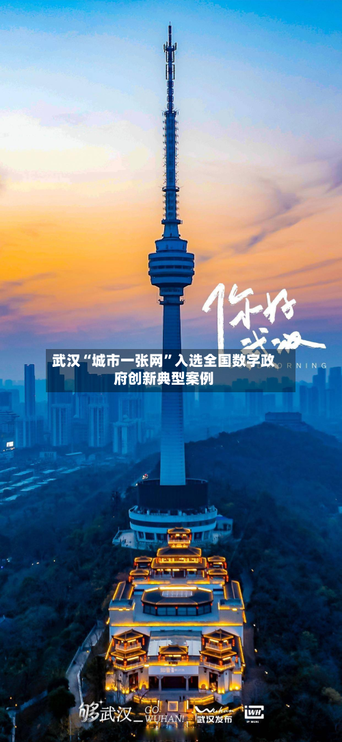 武汉“城市一张网”入选全国数字政府创新典型案例-第3张图片