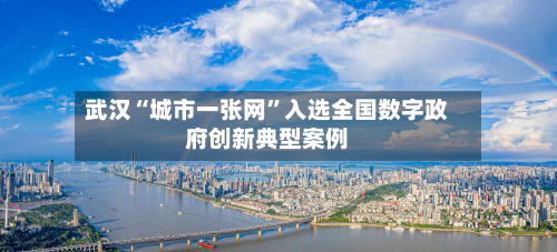 武汉“城市一张网	”入选全国数字政府创新典型案例-第2张图片