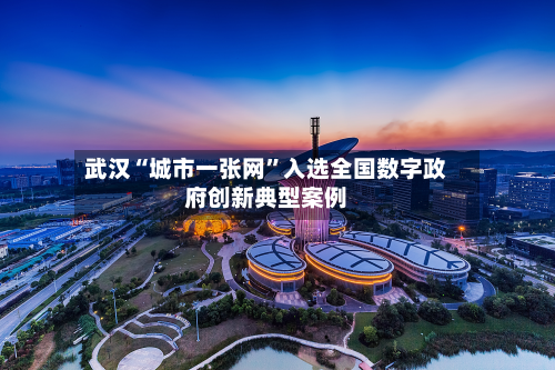 武汉“城市一张网	”入选全国数字政府创新典型案例-第1张图片