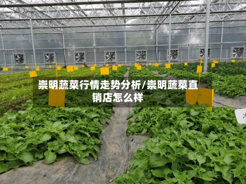 崇明蔬菜行情走势分析/崇明蔬菜直销店怎么样-第1张图片