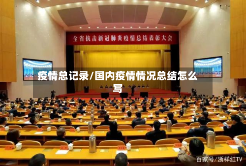 疫情总记录/国内疫情情况总结怎么写-第1张图片