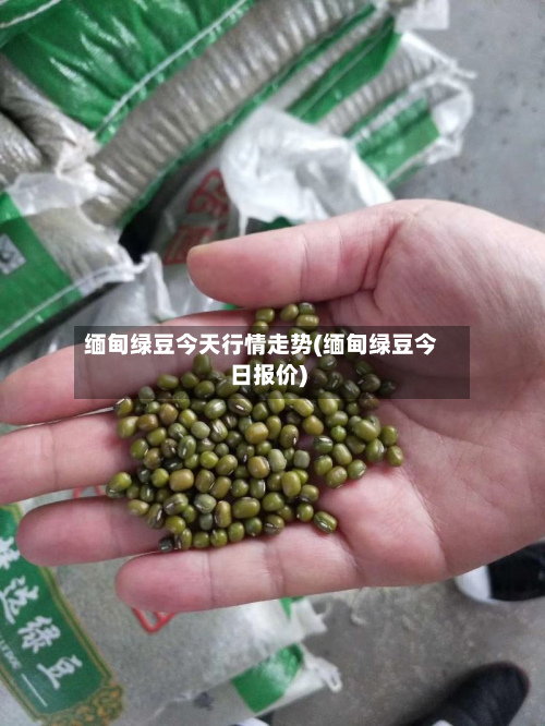 缅甸绿豆今天行情走势(缅甸绿豆今日报价)-第1张图片