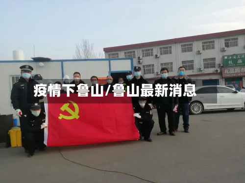 疫情下鲁山/鲁山最新消息-第3张图片