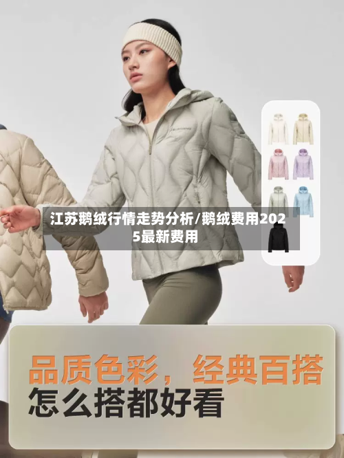 江苏鹅绒行情走势分析/鹅绒费用2025最新费用-第3张图片
