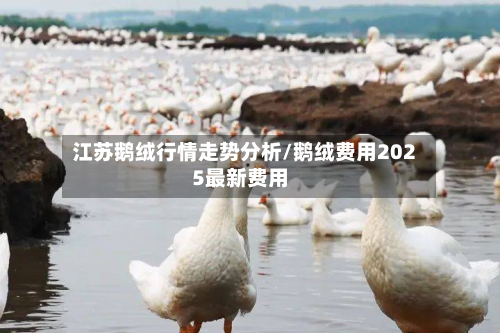江苏鹅绒行情走势分析/鹅绒费用2025最新费用-第1张图片