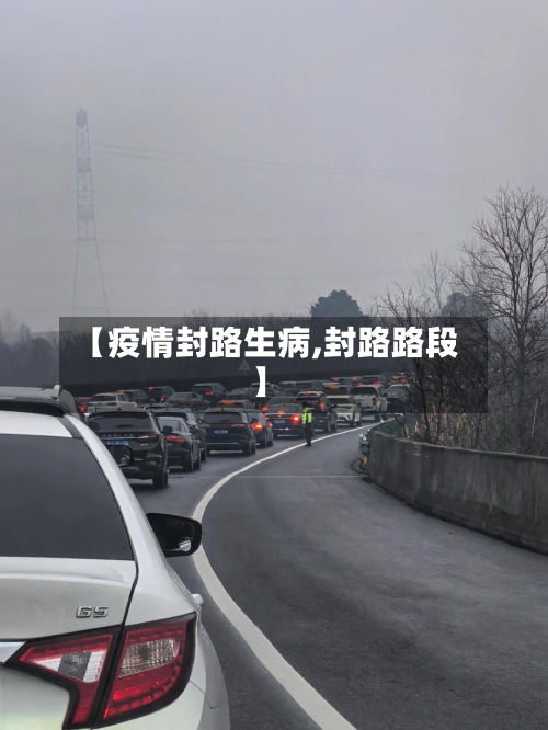 【疫情封路生病,封路路段】-第3张图片