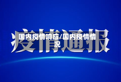 国内疫情响应/国内疫情情况-第2张图片