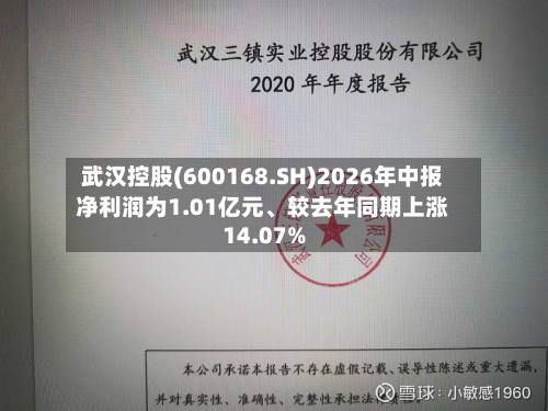 武汉控股(600168.SH)2026年中报净利润为1.01亿元	、较去年同期上涨14.07%-第1张图片