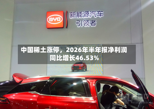 中国稀土涨停	，2026年半年报净利润同比增长46.53%-第1张图片