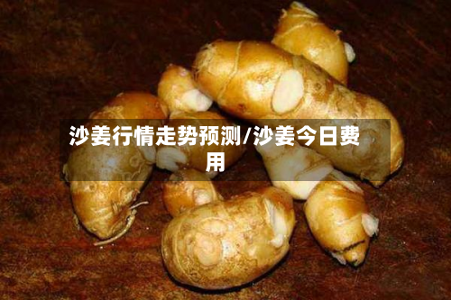 沙姜行情走势预测/沙姜今日费用-第2张图片