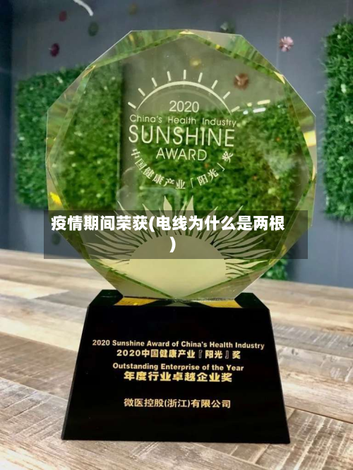 疫情期间荣获(电线为什么是两根)-第1张图片