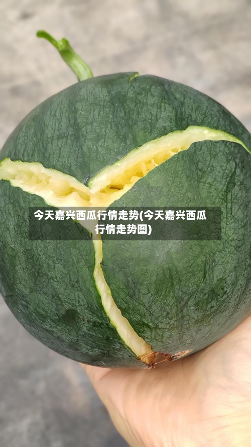 今天嘉兴西瓜行情走势(今天嘉兴西瓜行情走势图)-第1张图片