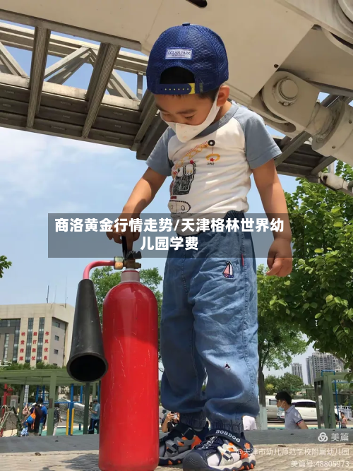 商洛黄金行情走势/天津格林世界幼儿园学费-第3张图片