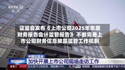 证监会发布《上市公司2025年年度财务报告会计监管报告》 不断完善上市公司财务信息披露监管工作机制-第2张图片