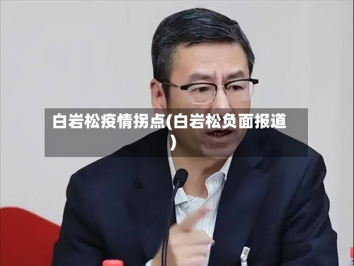 白岩松疫情拐点(白岩松负面报道)-第2张图片
