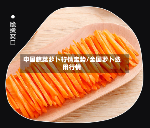 中国蔬菜萝卜行情走势/全国萝卜费用行情-第3张图片