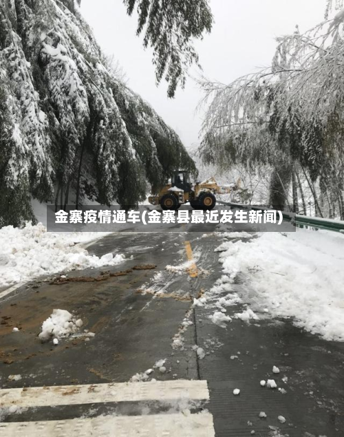 金寨疫情通车(金寨县最近发生新闻)-第1张图片