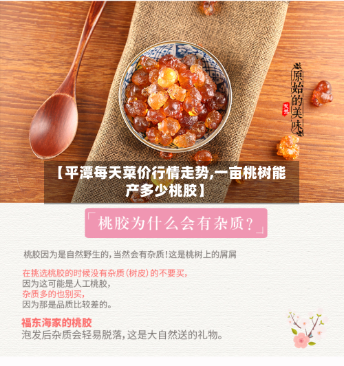 【平潭每天菜价行情走势,一亩桃树能产多少桃胶】-第2张图片