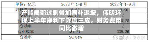 产能局部过剩叠加国补退坡，伟明环保上半年净利下降逾三成	，财务费用同比激增-第1张图片