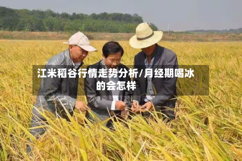 江米稻谷行情走势分析/月经期喝冰的会怎样-第1张图片