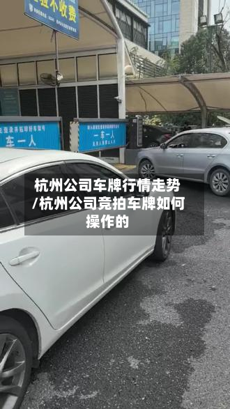 杭州公司车牌行情走势/杭州公司竞拍车牌如何操作的-第2张图片