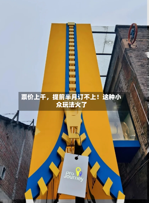票价上千，提前半月订不上！这种小众玩法火了-第1张图片