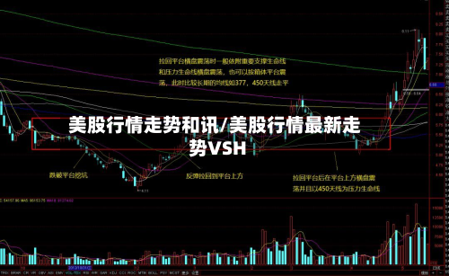 美股行情走势和讯/美股行情最新走势VSH-第3张图片
