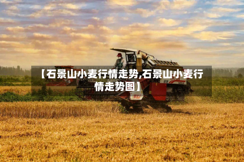 【石景山小麦行情走势,石景山小麦行情走势图】-第1张图片