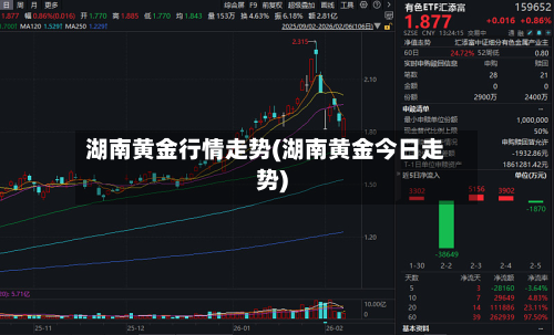 湖南黄金行情走势(湖南黄金今日走势)-第3张图片