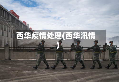 西华疫情处理(西华汛情)-第2张图片